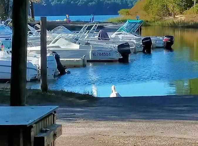 Konukevi Mobilhome Salsa Xxl